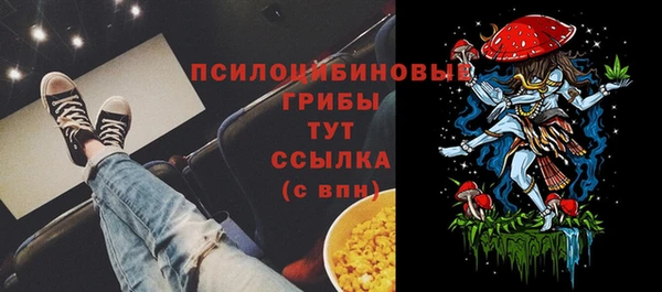 спайс Алзамай