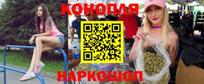 крисы Пыть-Ях