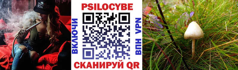 MEGA ССЫЛКА  Чебаркуль  Галлюциногенные грибы GOLDEN TEACHER  купить  